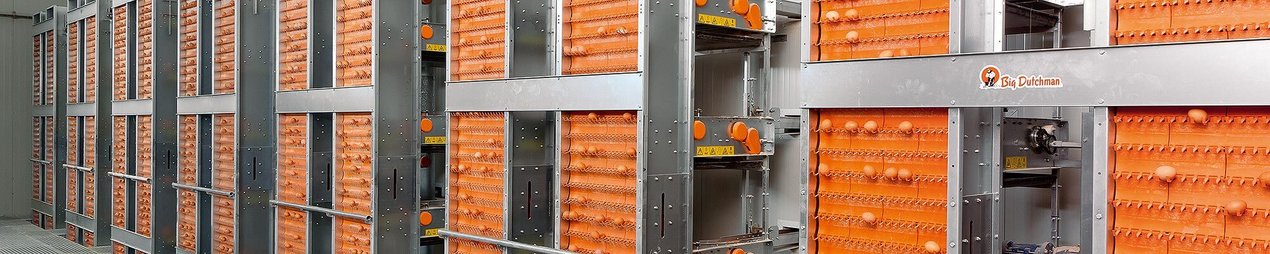 Sistemas de recolección de huevos para manejo en jaulas