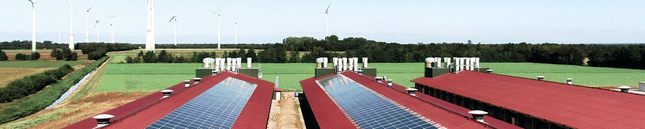 Suministro Energético